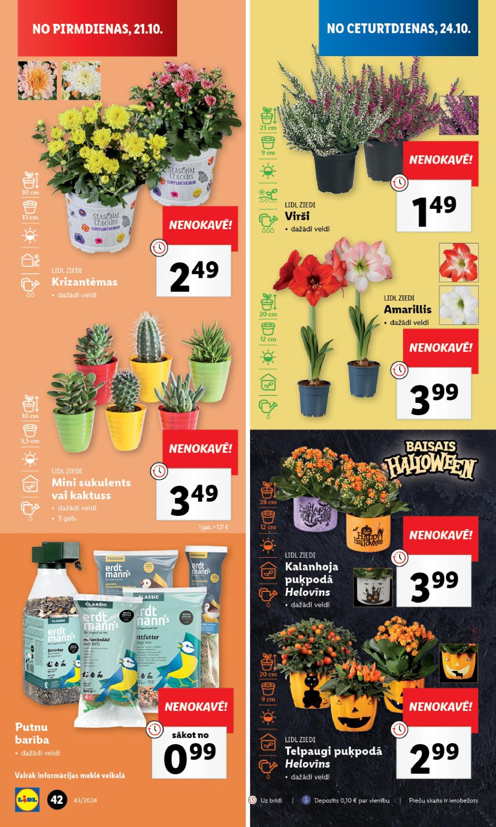 lidl - LIDL (24.10.2024 - 27.10.2024) - page: 42