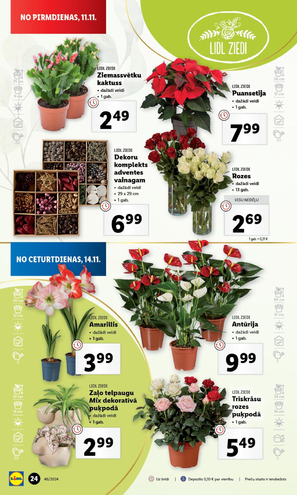 lidl - LIDL (14.11.2024 - 17.11.2024) - page: 24