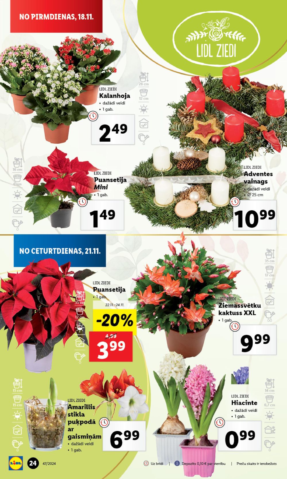 lidl - LIDL (18.11.2024 - 24.11.2024) - page: 24