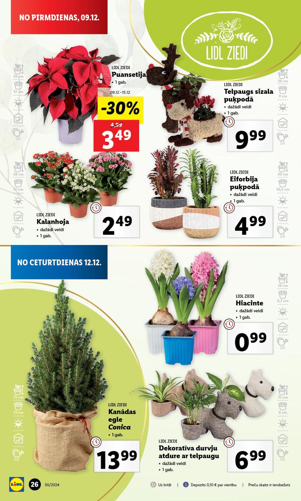 lidl - LIDL (12.12.2024 - 15.12.2024) - page: 26