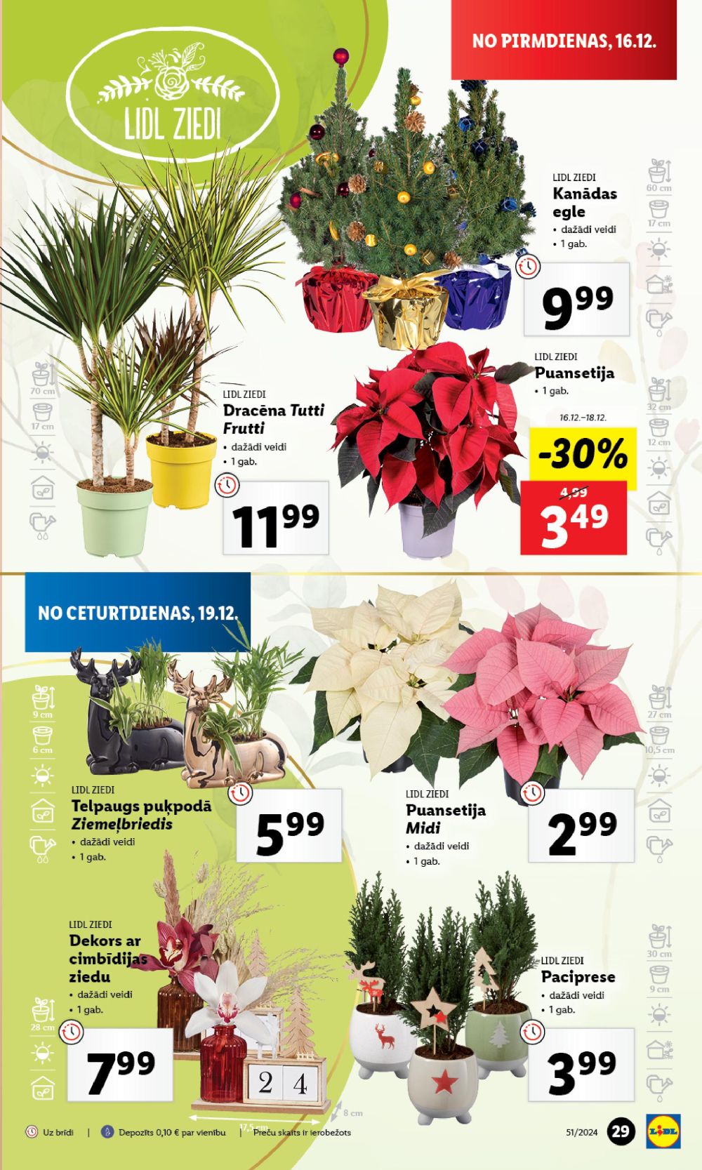 lidl - LIDL (19.12.2024 - 22.12.2024) - page: 29