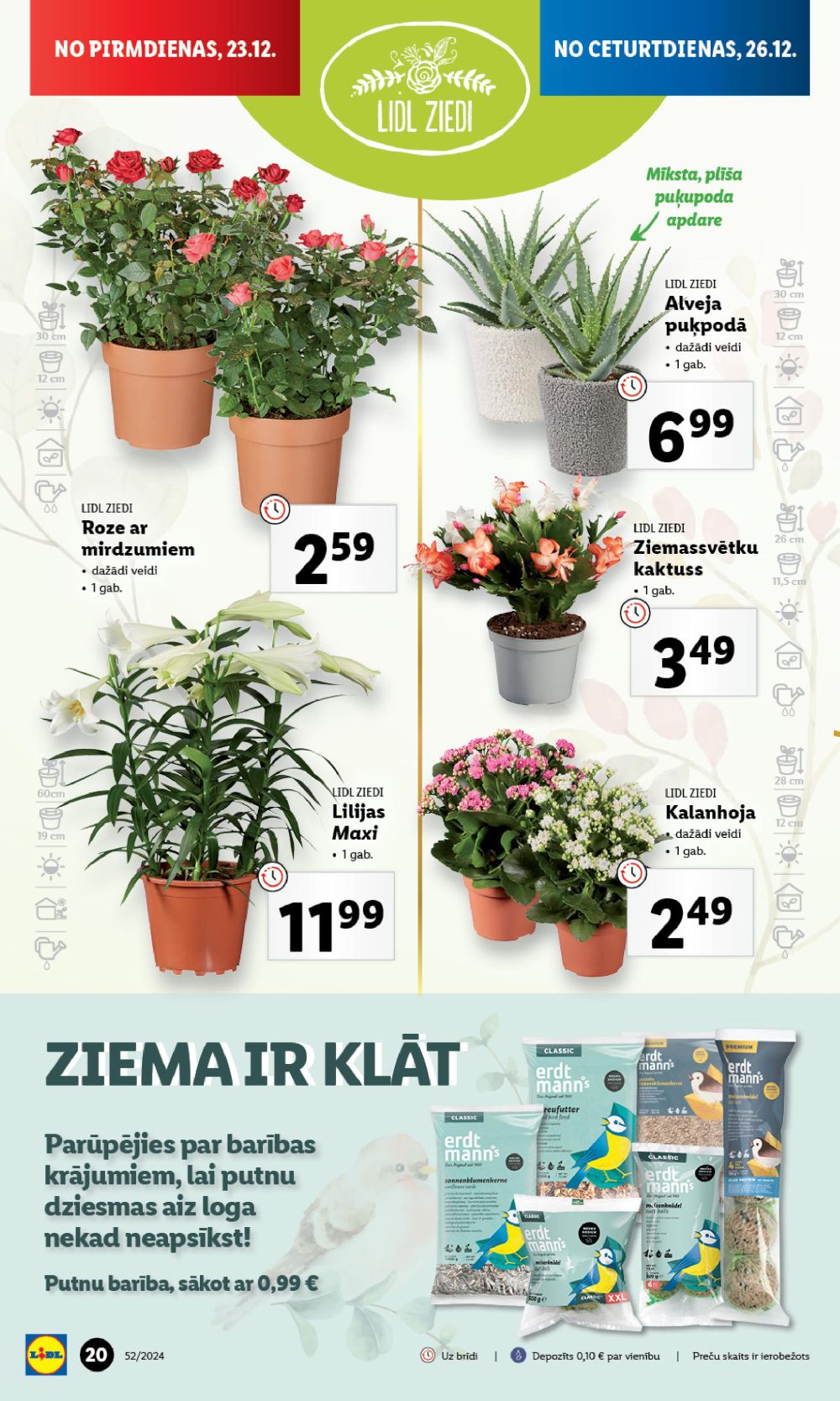 lidl - LIDL (23.12.2024 - 29.12.2024) - page: 20