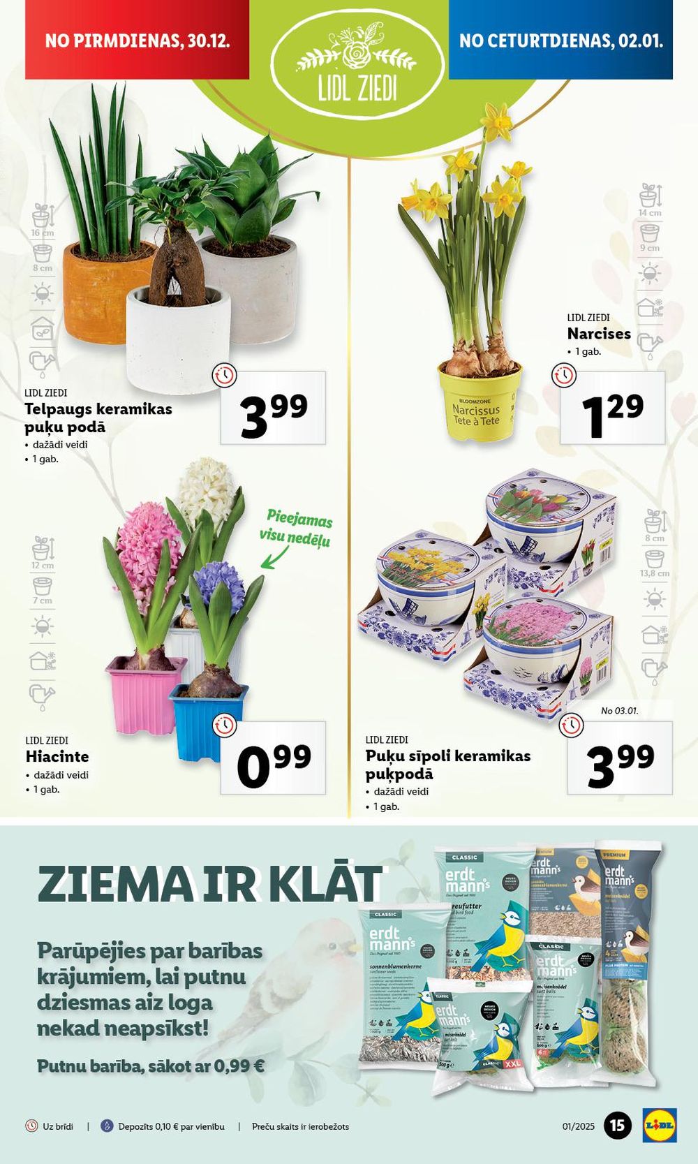 lidl - LIDL (30.12.2024 - 05.01.2025) - page: 15