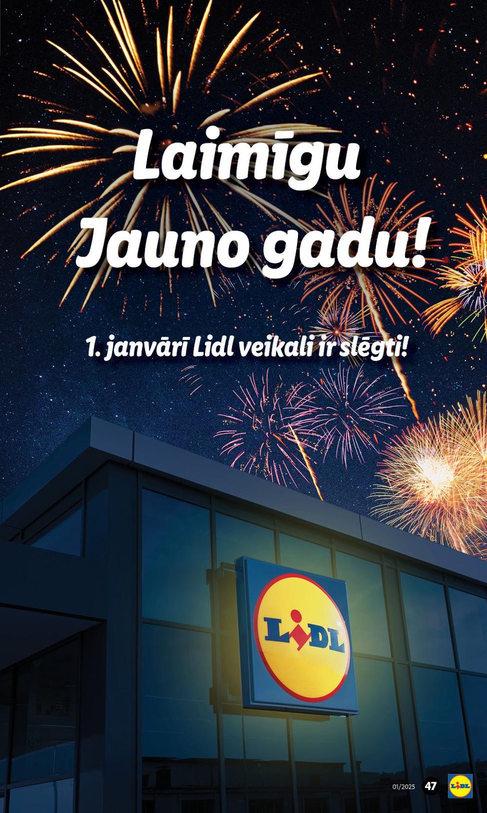 lidl - LIDL (30.12.2024 - 05.01.2025) - page: 47