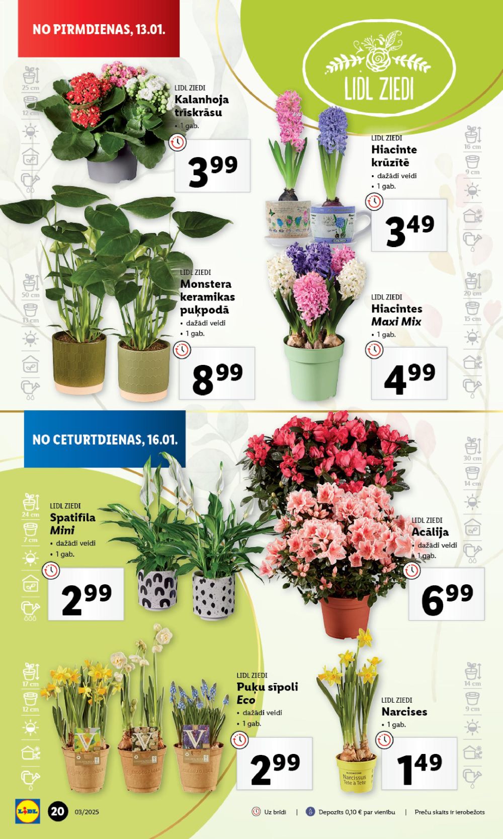 lidl - LIDL (13.01.2025 - 19.01.2025) - page: 20