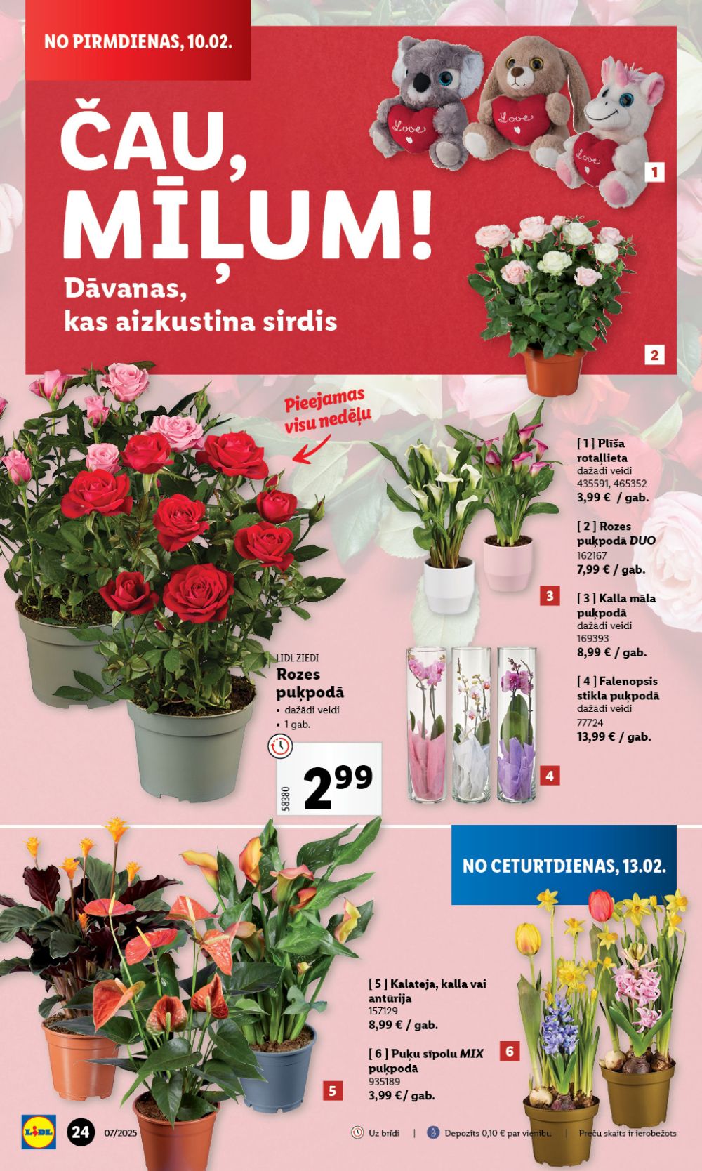 lidl - LIDL (10.02.2025 - 16.02.2025) - page: 24