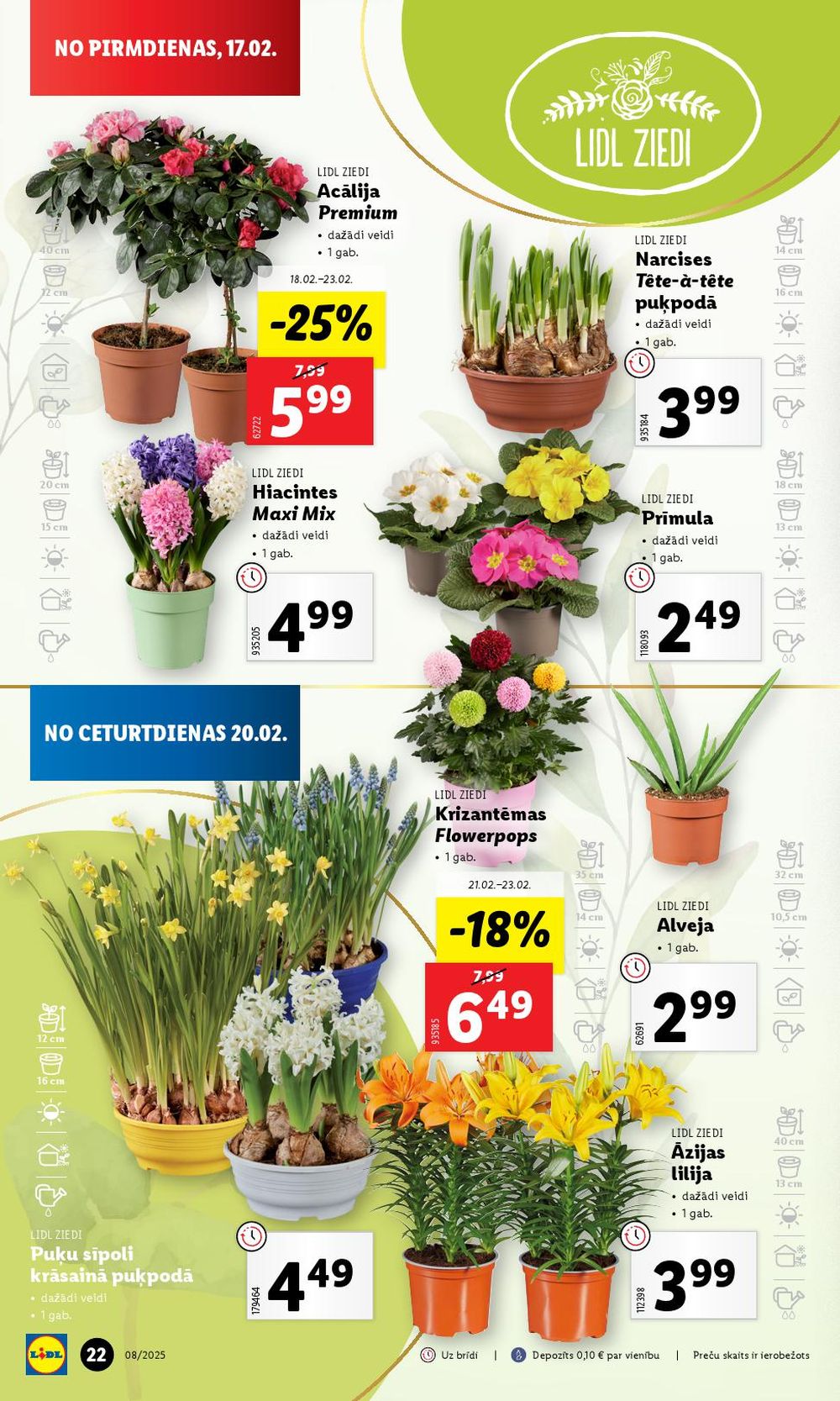 lidl - LIDL (17.02.2025 - 23.02.2025) - page: 22