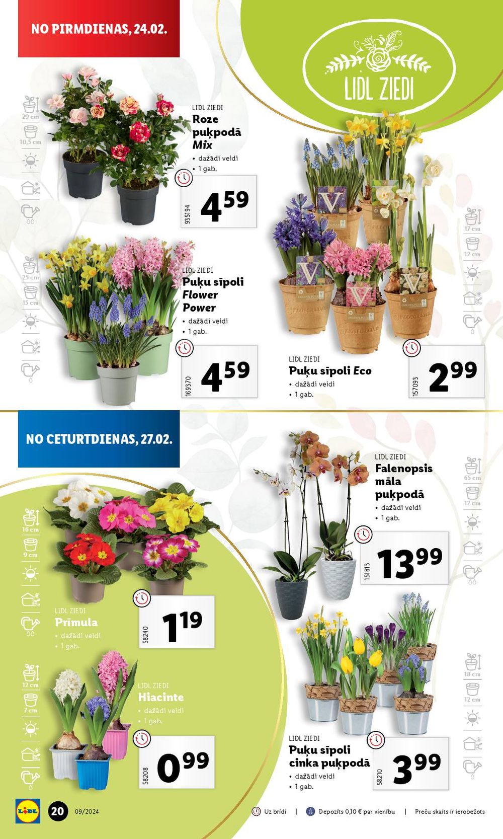 lidl - LIDL (24.02.2025 - 02.03.2025) - page: 20