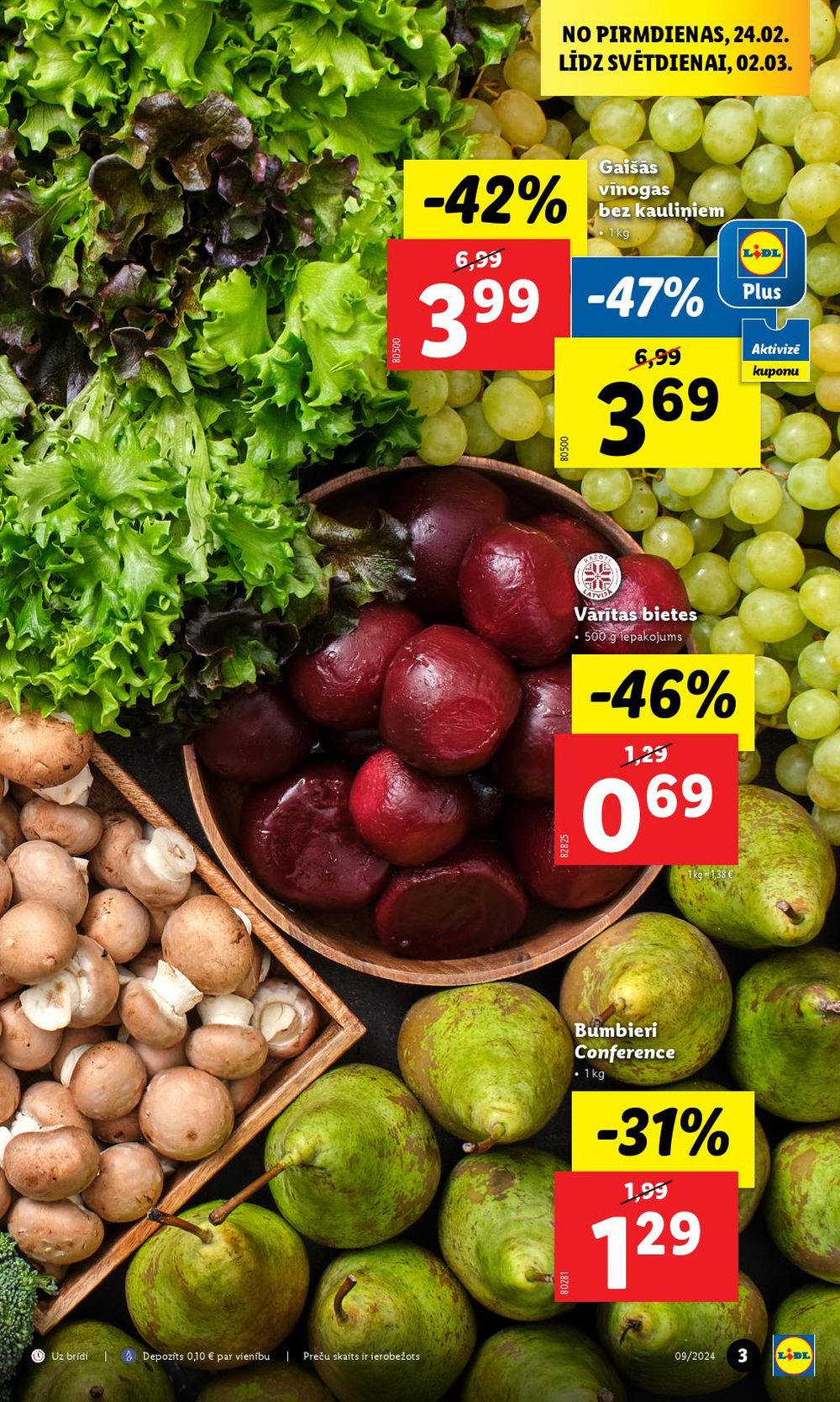 lidl - LIDL (24.02.2025 - 02.03.2025) - page: 3