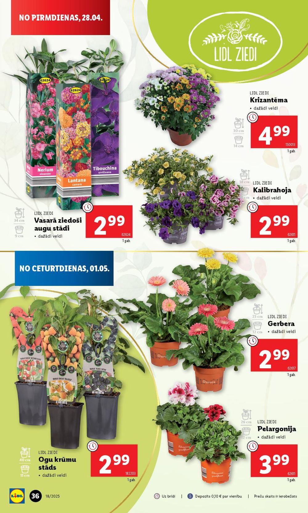 lidl - LIDL (01.04.2025 - 04.05.2025) - page: 36 lidl - LIDL (01.04.2025 - 04.05.2025) - page: 36