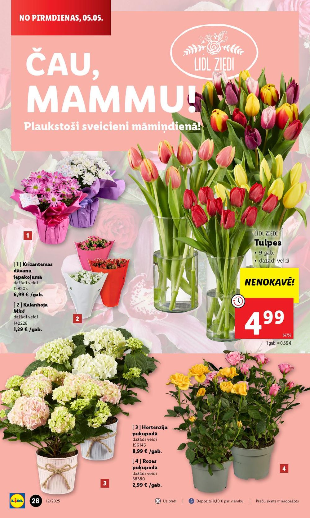 lidl - LIDL (05.05.2025 - 11.05.2025) - page: 28 lidl - LIDL (05.05.2025 - 11.05.2025) - page: 28