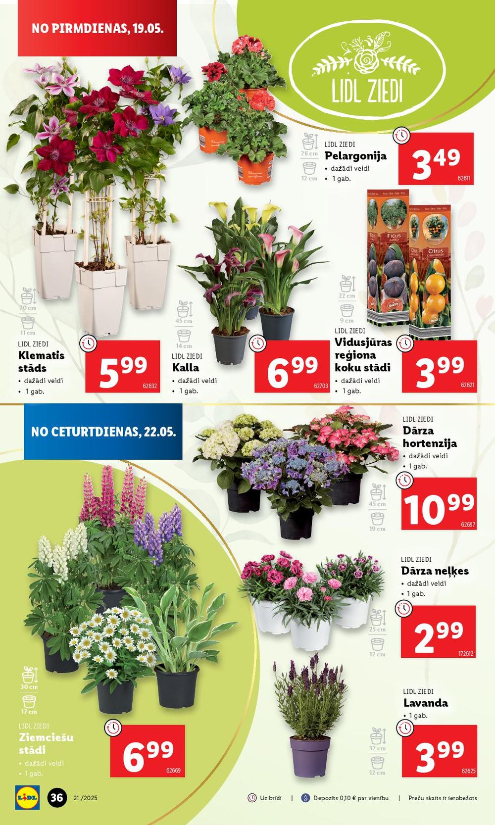 lidl - LIDL (22.05.2025 - 25.05.2025) - page: 36 lidl - LIDL (22.05.2025 - 25.05.2025) - page: 36