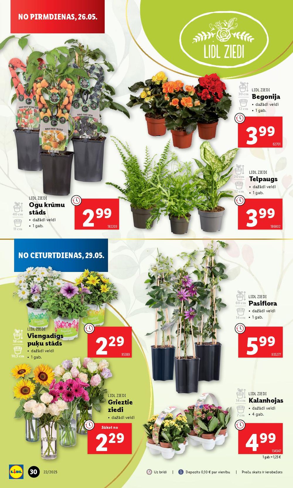 lidl - LIDL (26.05.2025 - 01.06.2025) - page: 30 lidl - LIDL (26.05.2025 - 01.06.2025) - page: 30