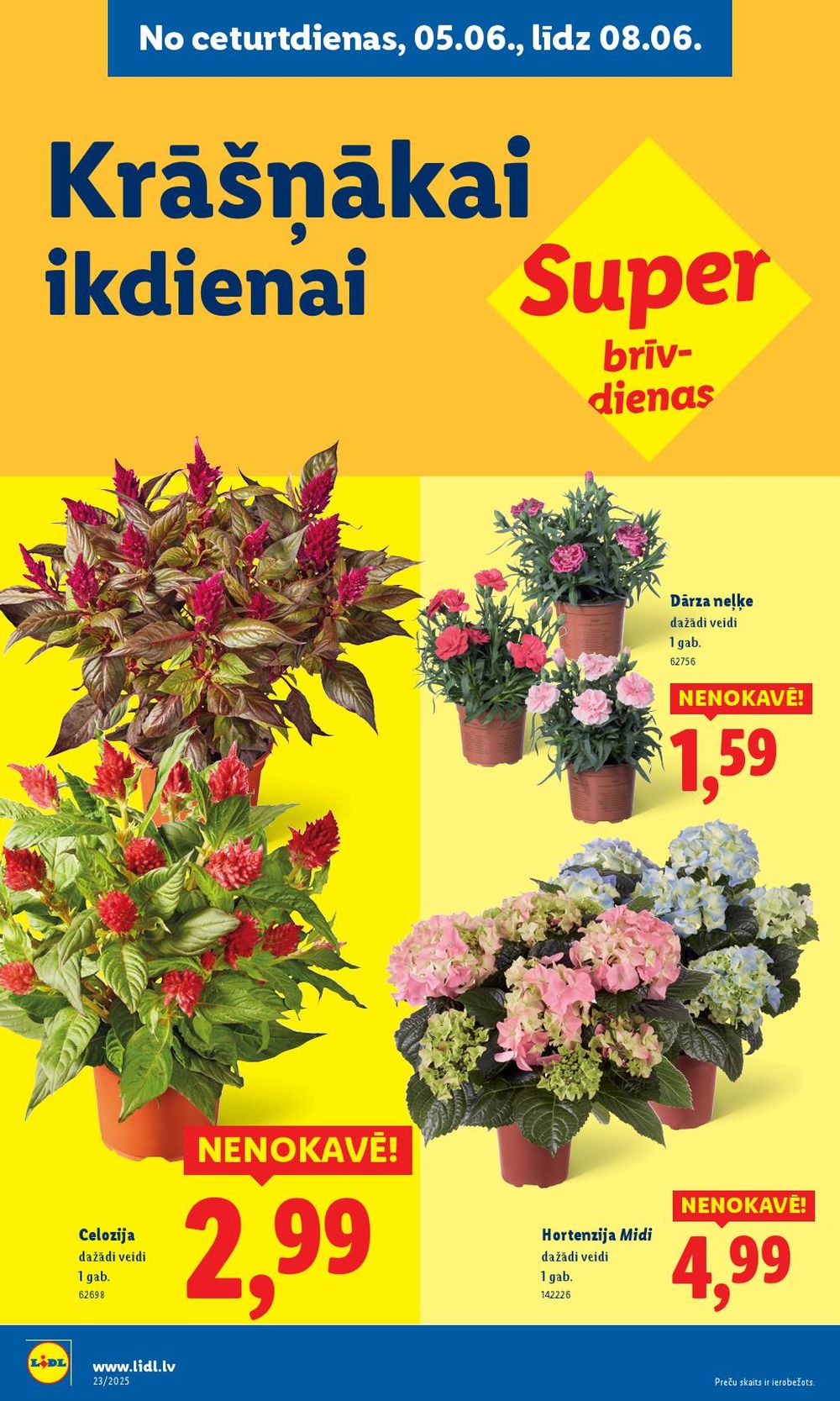 lidl - LIDL (02.06.2025 - 08.06.2025) - page: 62 lidl - LIDL (02.06.2025 - 08.06.2025) - page: 62