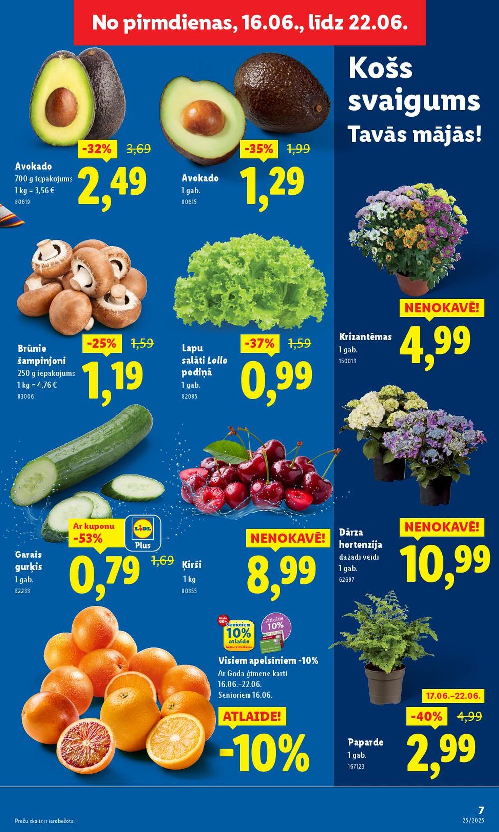 lidl - LIDL (16.06.2025 - 22.06.2025) - page: 7 lidl - LIDL (16.06.2025 - 22.06.2025) - page: 7