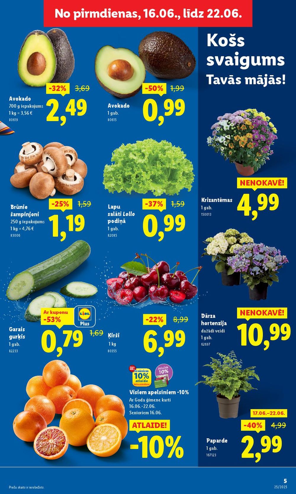 lidl - LIDL (19.06.2025 - 22.06.2025) - page: 5 lidl - LIDL (19.06.2025 - 22.06.2025) - page: 5