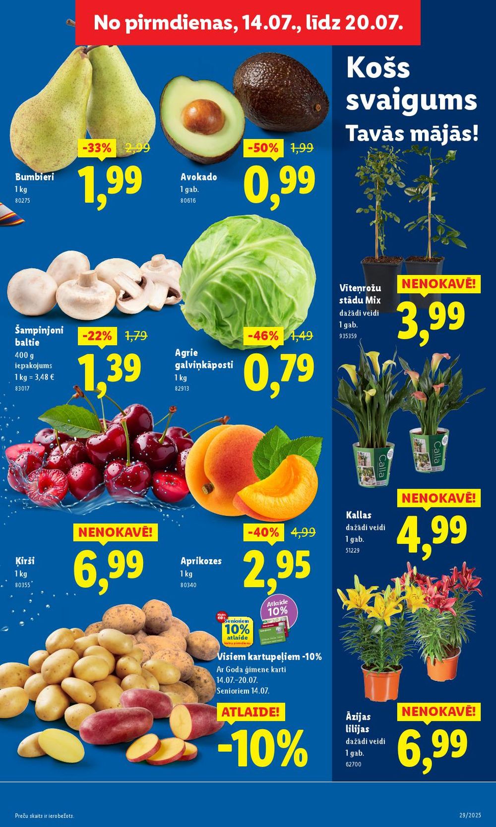 lidl - LIDL - Nepārtikas preču piedāvājums (14.07.2025 - 20.07.2025) - page: 5