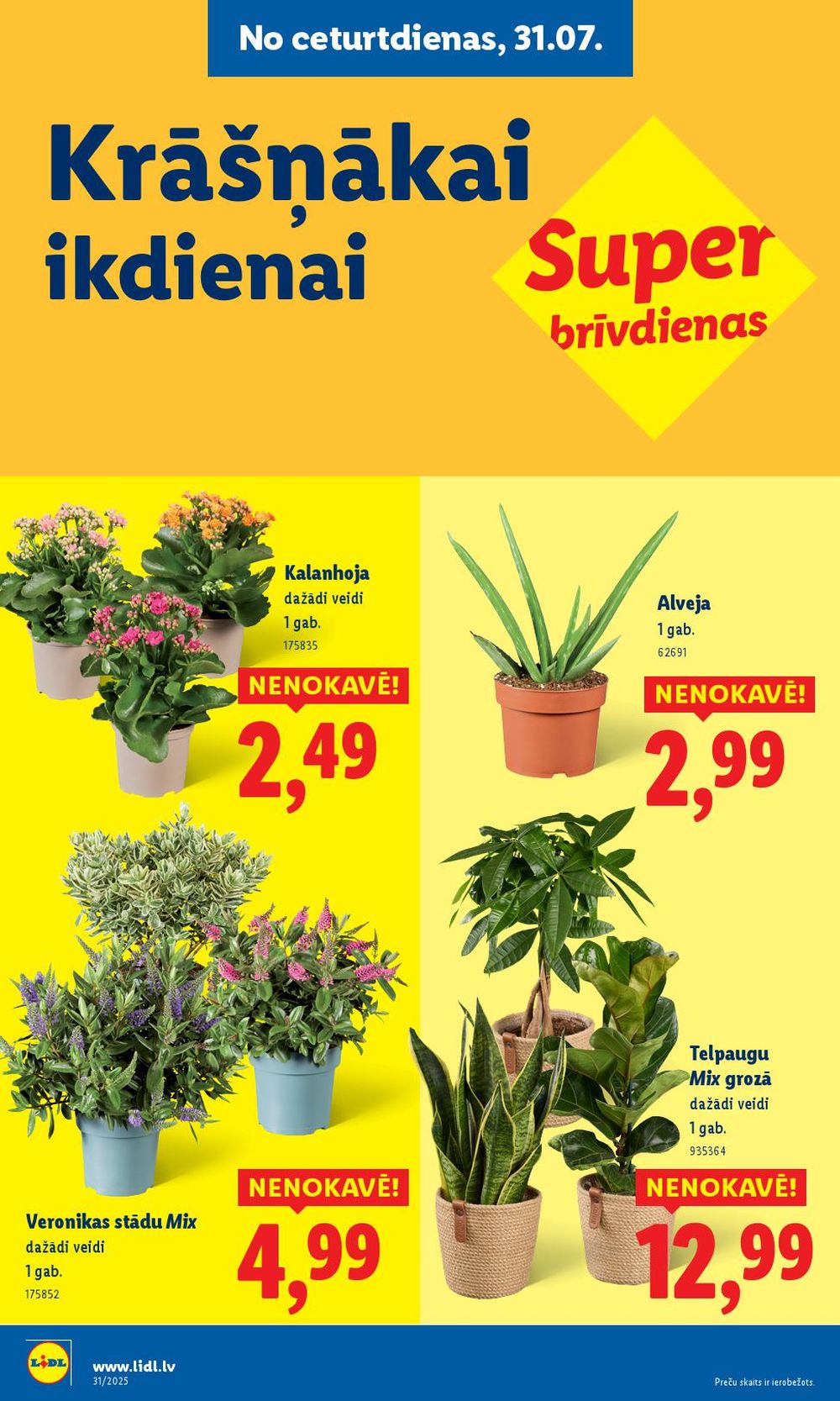 lidl - LIDL (31.07.2025 - 03.08.2025) - page: 6 lidl - LIDL (31.07.2025 - 03.08.2025) - page: 6