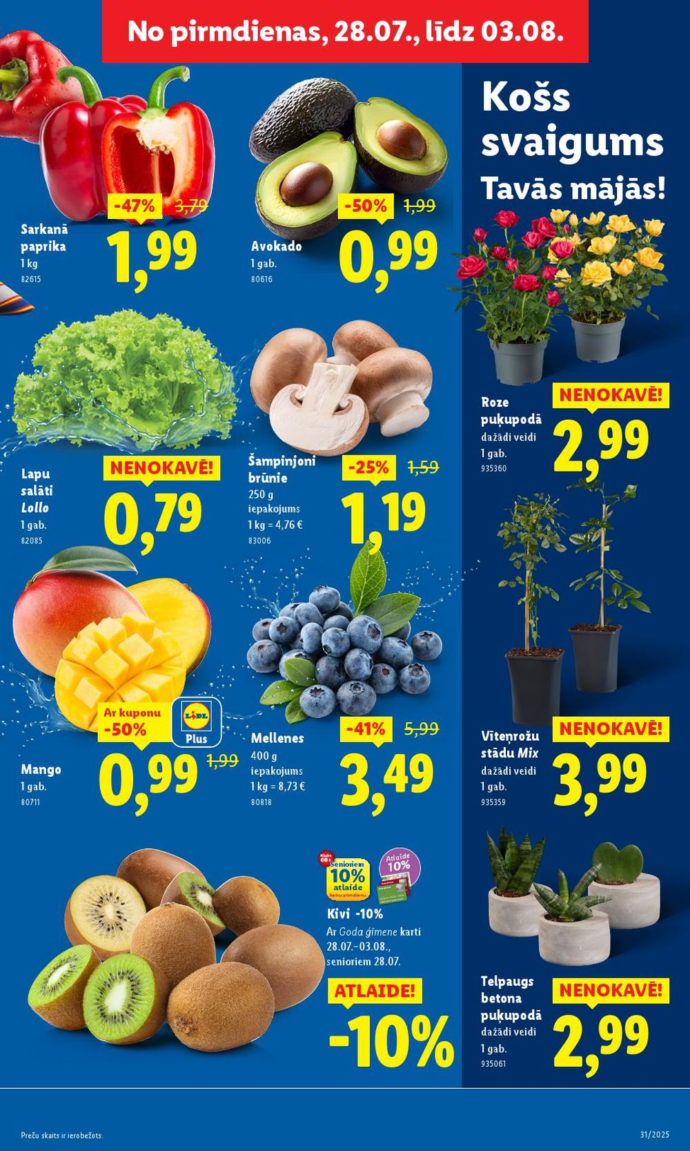 lidl - LIDL (31.07.2025 - 03.08.2025) - page: 5 lidl - LIDL (31.07.2025 - 03.08.2025) - page: 5