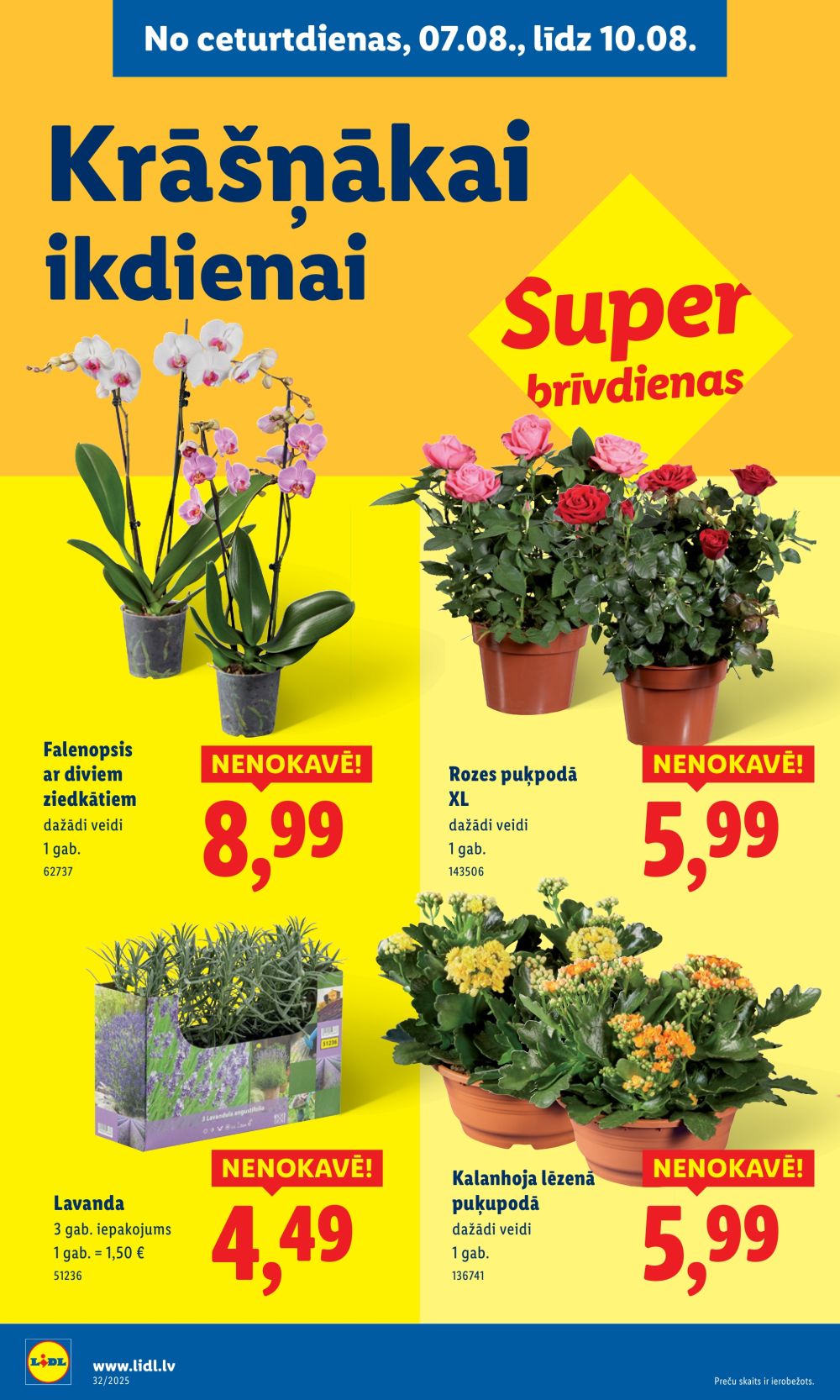 lidl - LIDL (04.08.2025 - 10.08.2025) - page: 55 lidl - LIDL (04.08.2025 - 10.08.2025) - page: 55