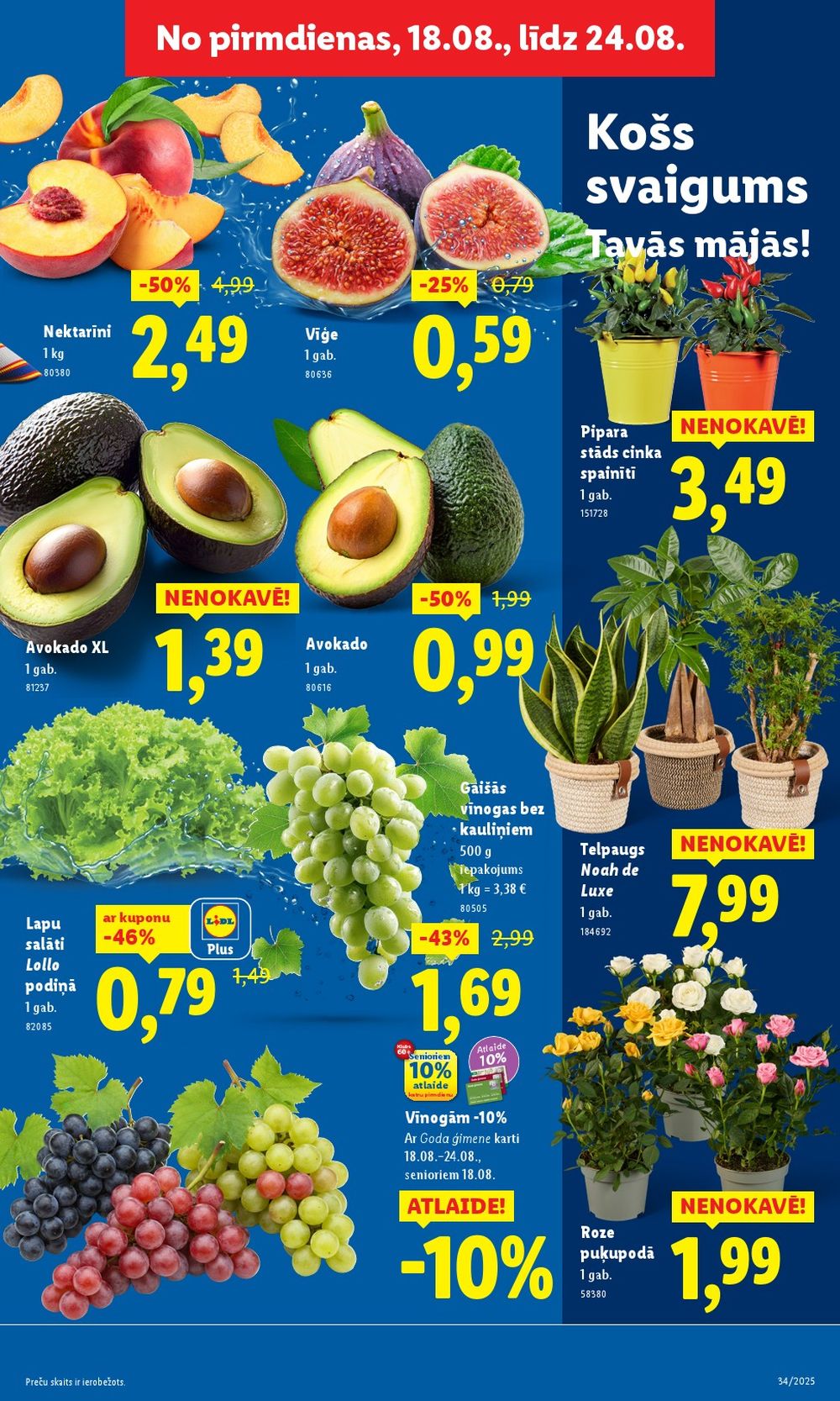 lidl - LIDL (18.08.2025 - 24.08.2025) - page: 5 lidl - LIDL (18.08.2025 - 24.08.2025) - page: 5