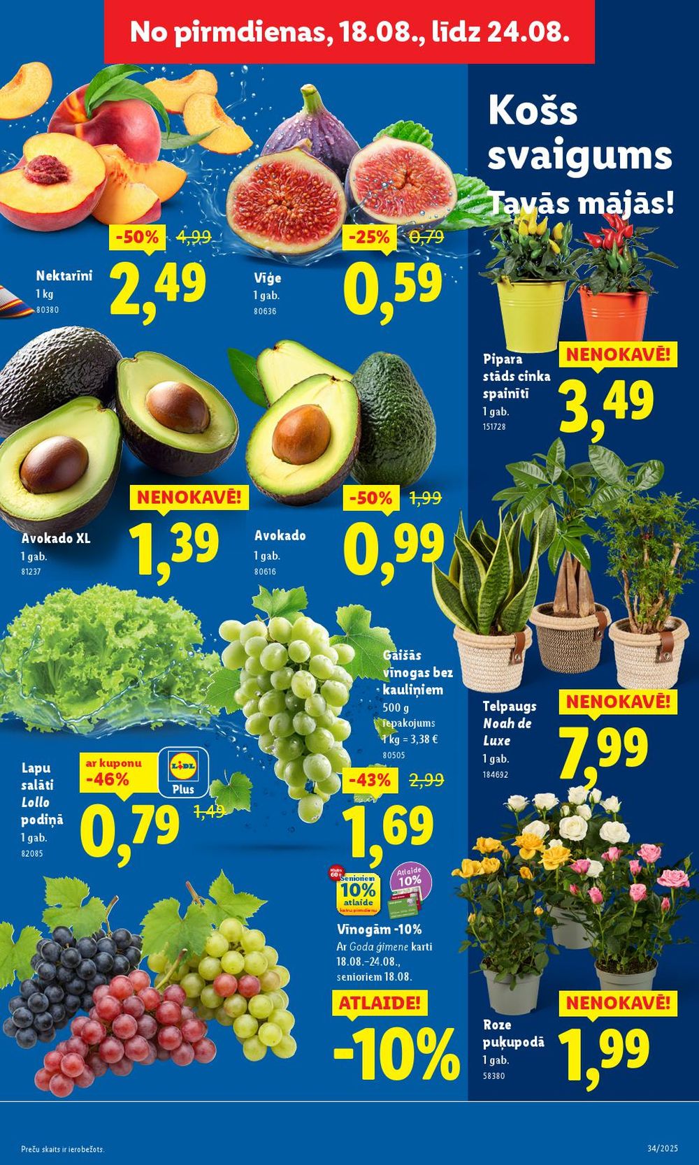 lidl - LIDL (21.08.2025 - 24.08.2025) - page: 3 lidl - LIDL (21.08.2025 - 24.08.2025) - page: 3