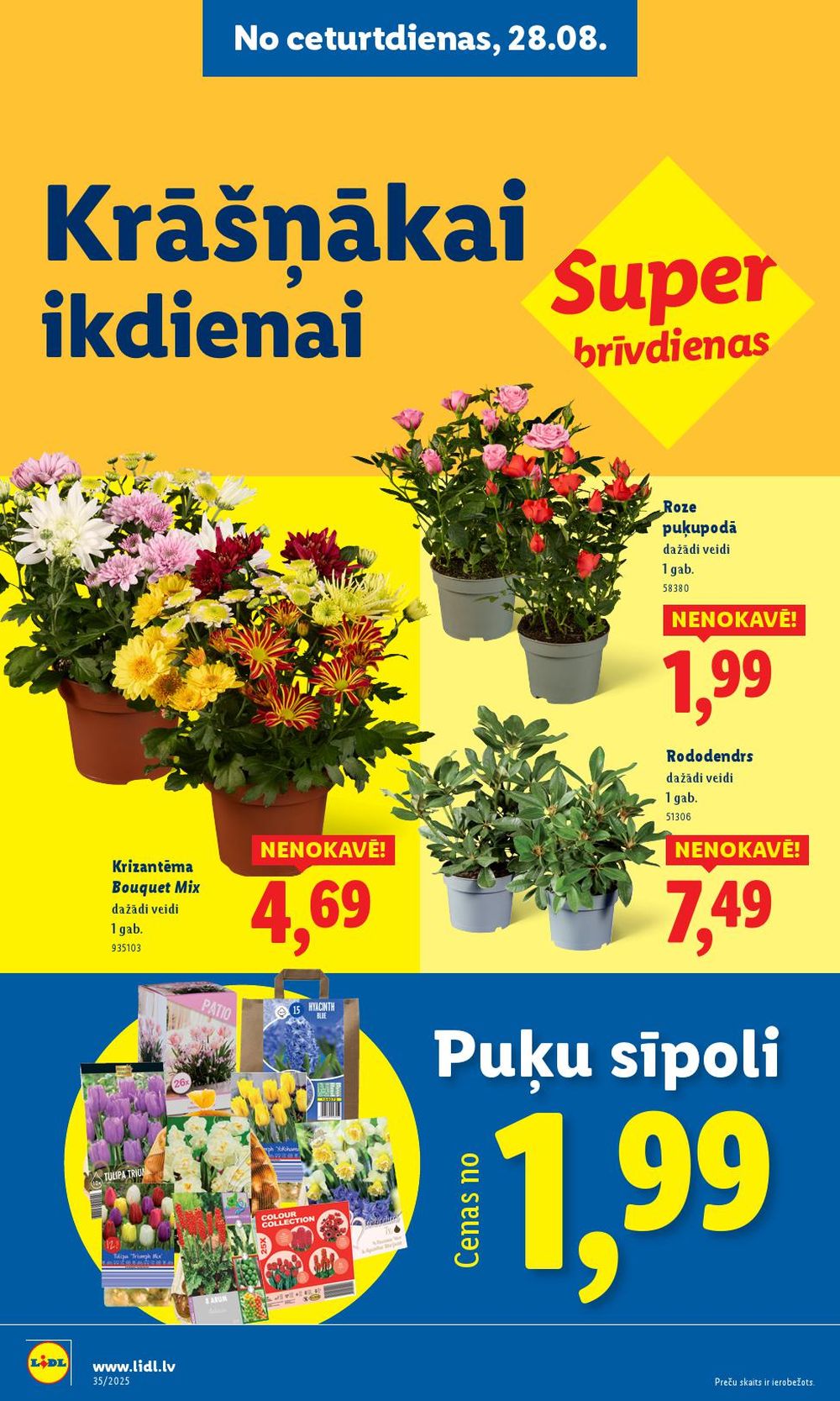 lidl - LIDL (25.08.2025 - 31.08.2025) - page: 62 lidl - LIDL (25.08.2025 - 31.08.2025) - page: 62