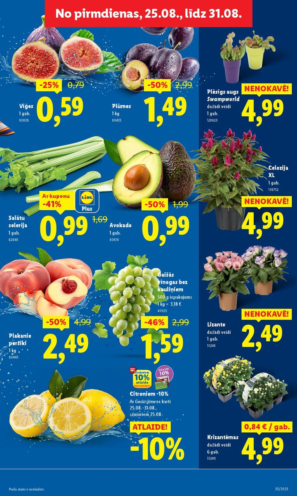 lidl - LIDL (25.08.2025 - 31.08.2025) - page: 5 lidl - LIDL (25.08.2025 - 31.08.2025) - page: 5
