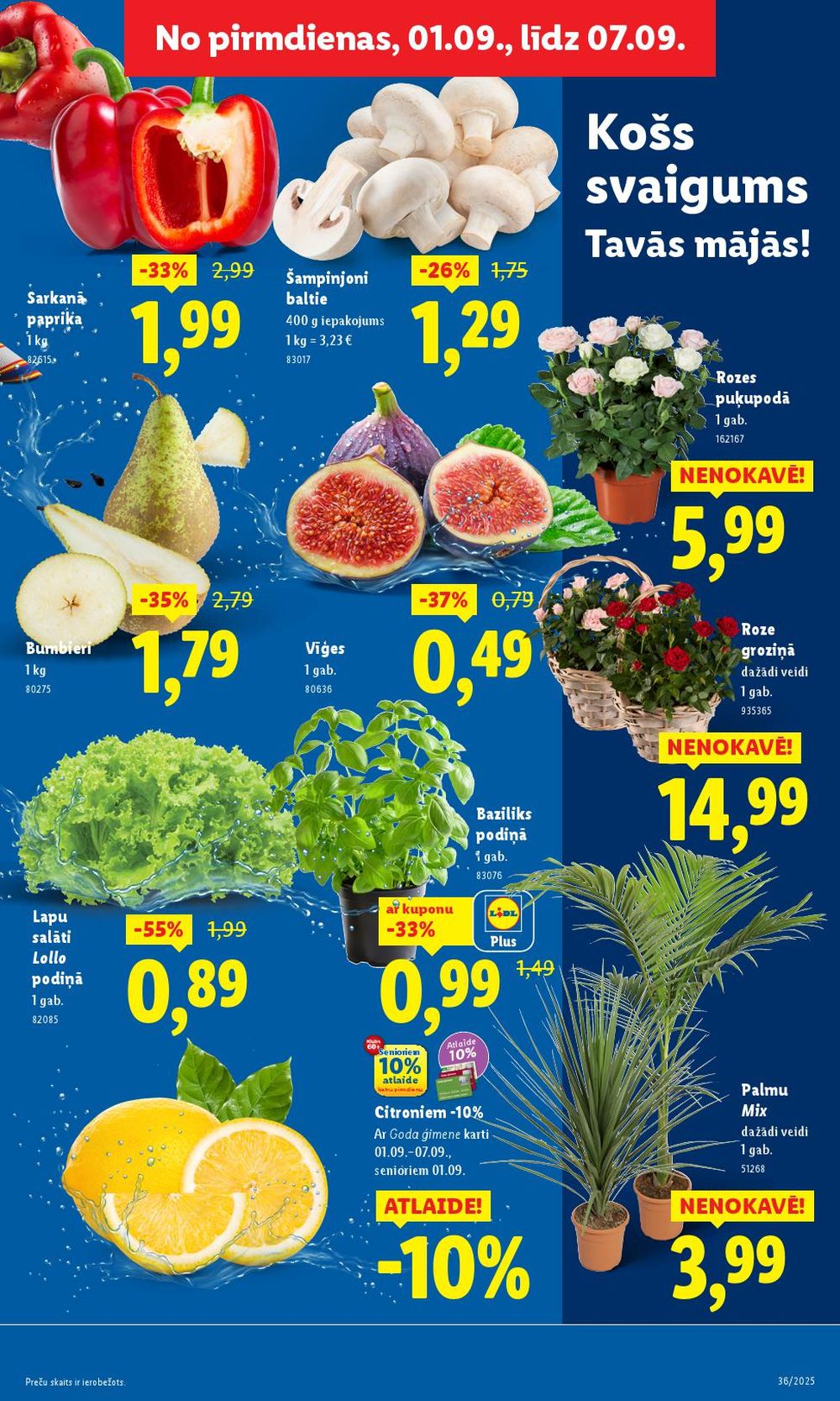 lidl - LIDL (01.09.2025 - 07.09.2025) - page: 5 lidl - LIDL (01.09.2025 - 07.09.2025) - page: 5