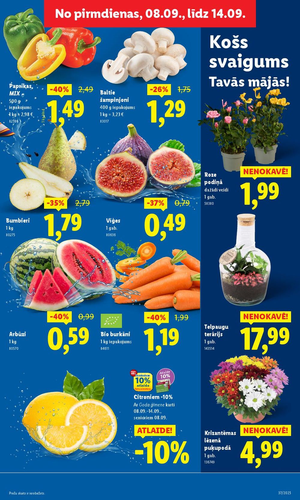 lidl - LIDL (08.09.2025 - 14.09.2025) - page: 5