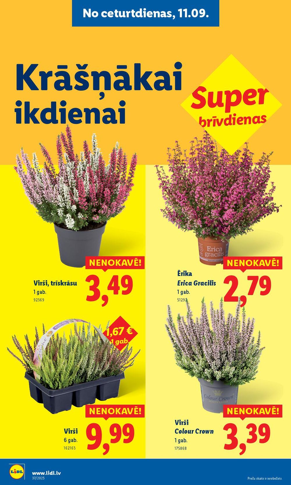 lidl - LIDL (08.09.2025 - 14.09.2025) - page: 60