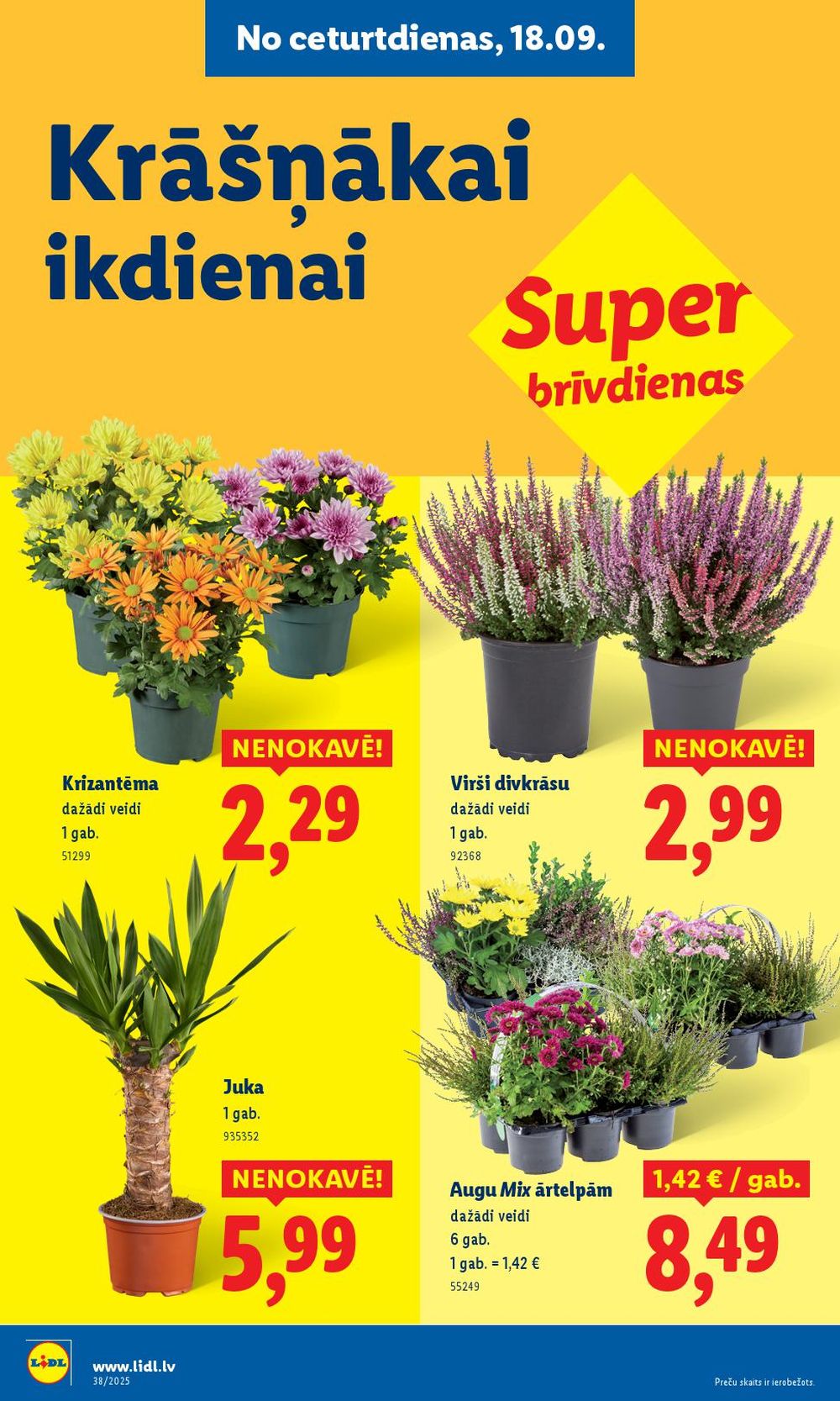 lidl - LIDL (15.09.2025 - 21.09.2025) - page: 61 lidl - LIDL (15.09.2025 - 21.09.2025) - page: 61
