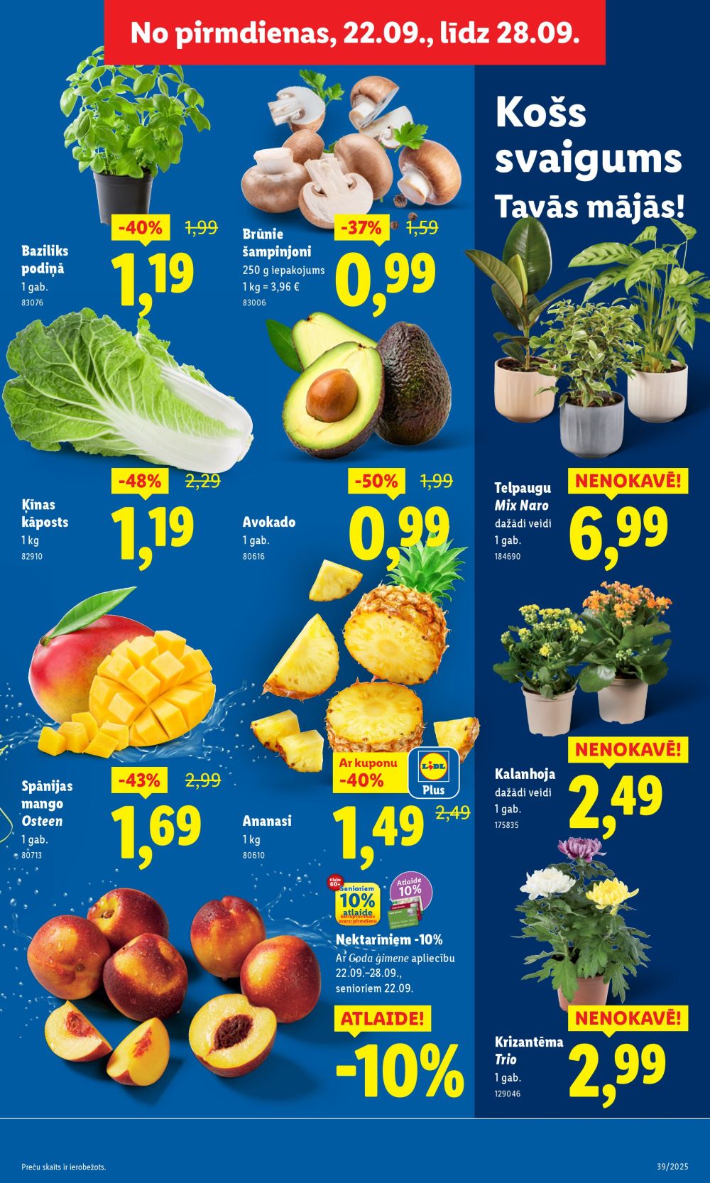 lidl - LIDL (22.09.2025 - 28.09.2025) - page: 5 lidl - LIDL (22.09.2025 - 28.09.2025) - page: 5