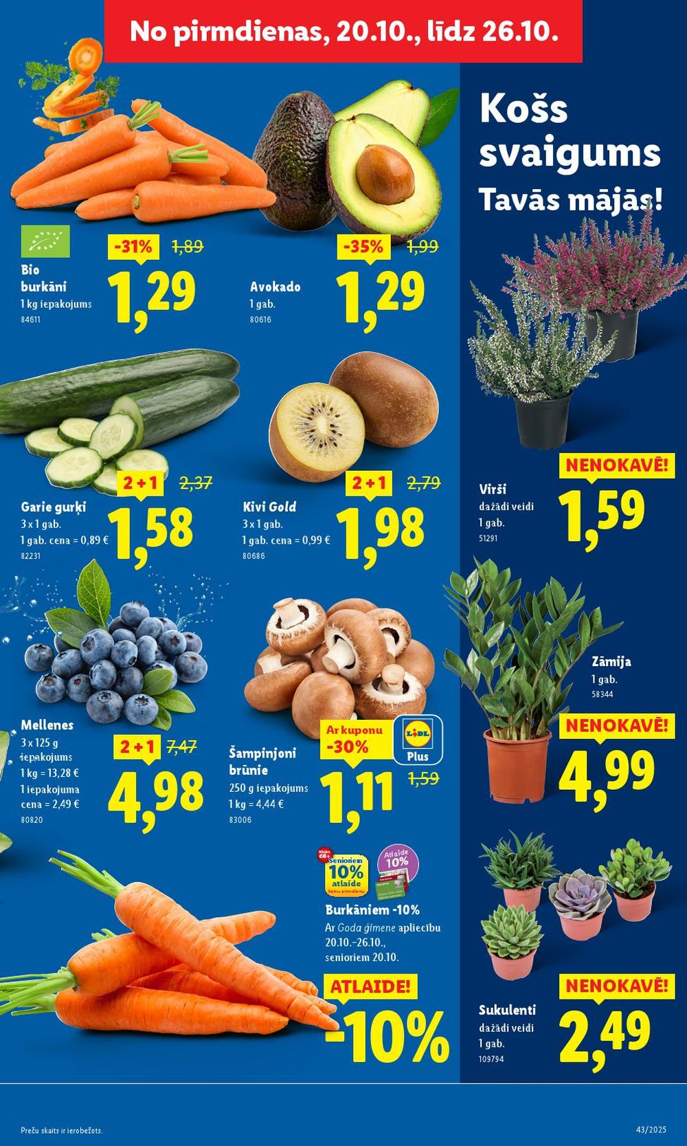 lidl - LIDL (20.10.2025 - 26.10.2025) - page: 7 lidl - LIDL (20.10.2025 - 26.10.2025) - page: 7