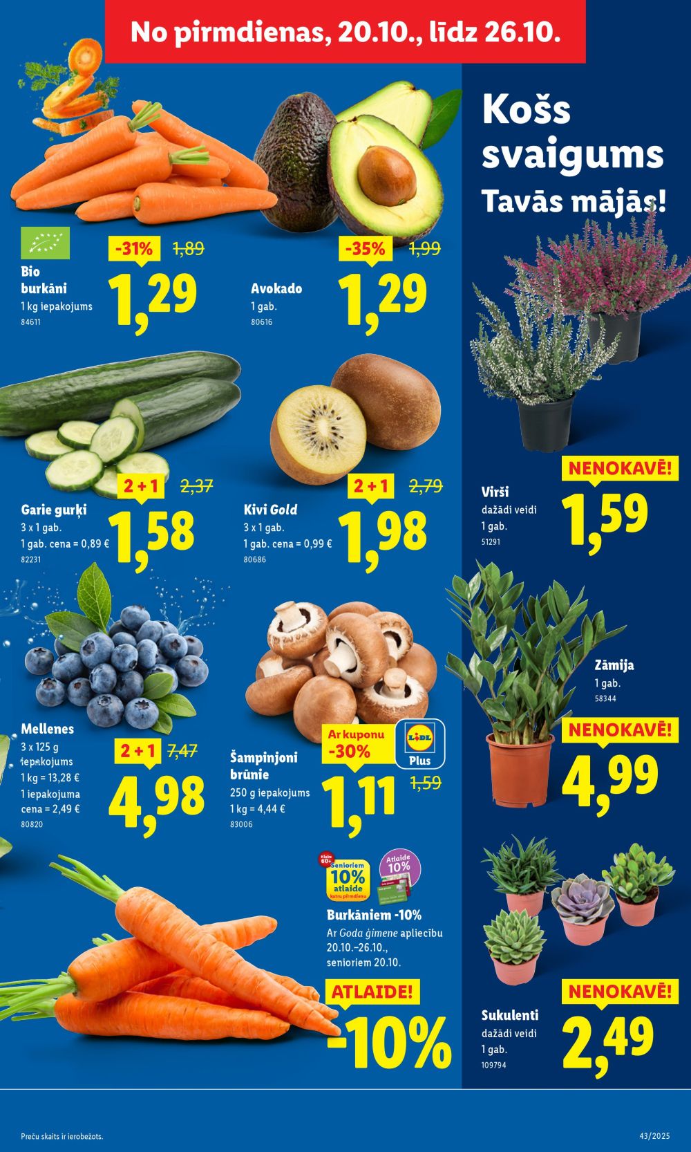 lidl - LIDL (23.10.2025 - 26.10.2025) - page: 9 lidl - LIDL (23.10.2025 - 26.10.2025) - page: 9