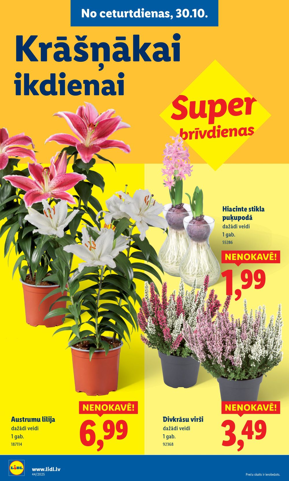 lidl - LIDL (27.10.2025 - 02.11.2025) - page: 60 lidl - LIDL (27.10.2025 - 02.11.2025) - page: 60