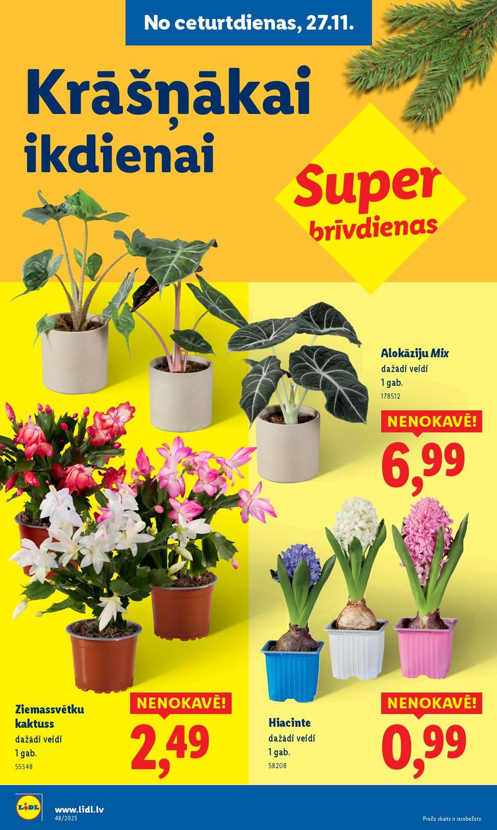 lidl - LIDL (24.11.2025 - 30.11.2025) - page: 60