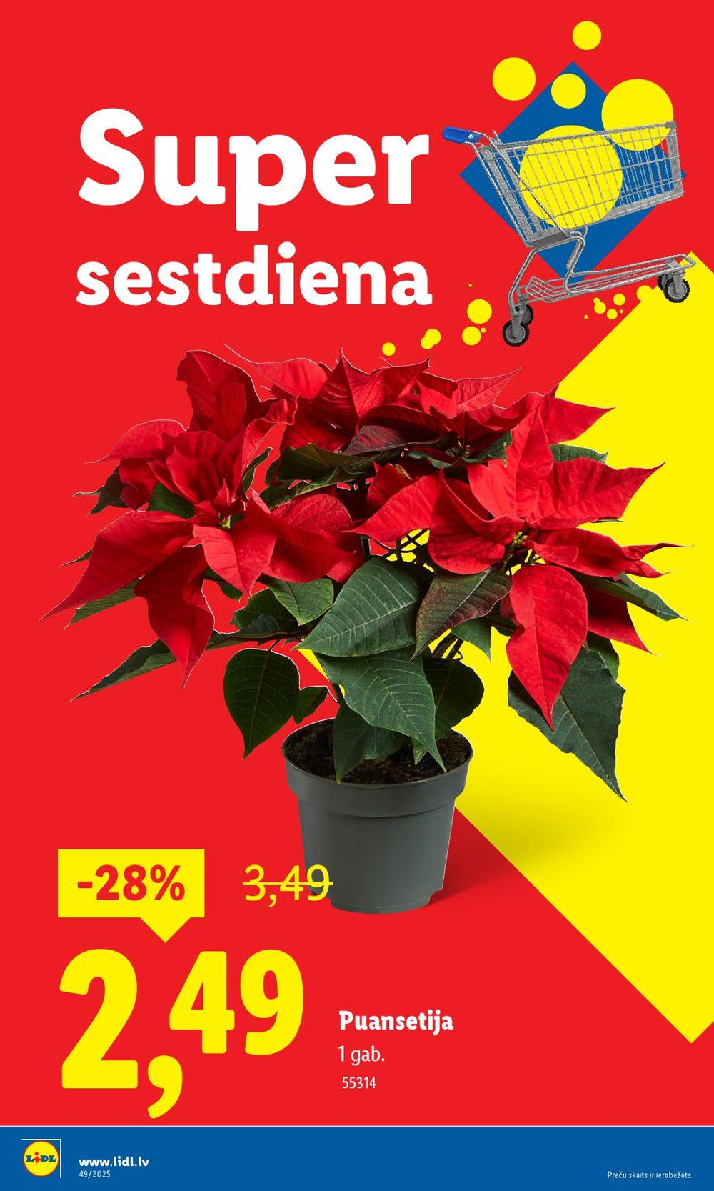 lidl - LIDL (04.12.2025 - 07.12.2025) - page: 4