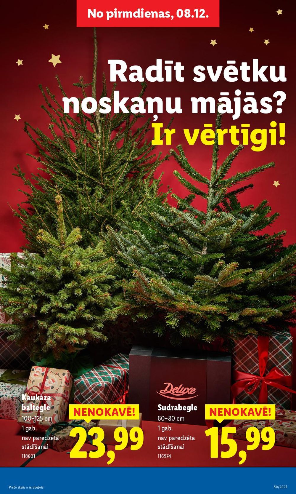 lidl - LIDL (11.12.2025 - 14.12.2025) - page: 45