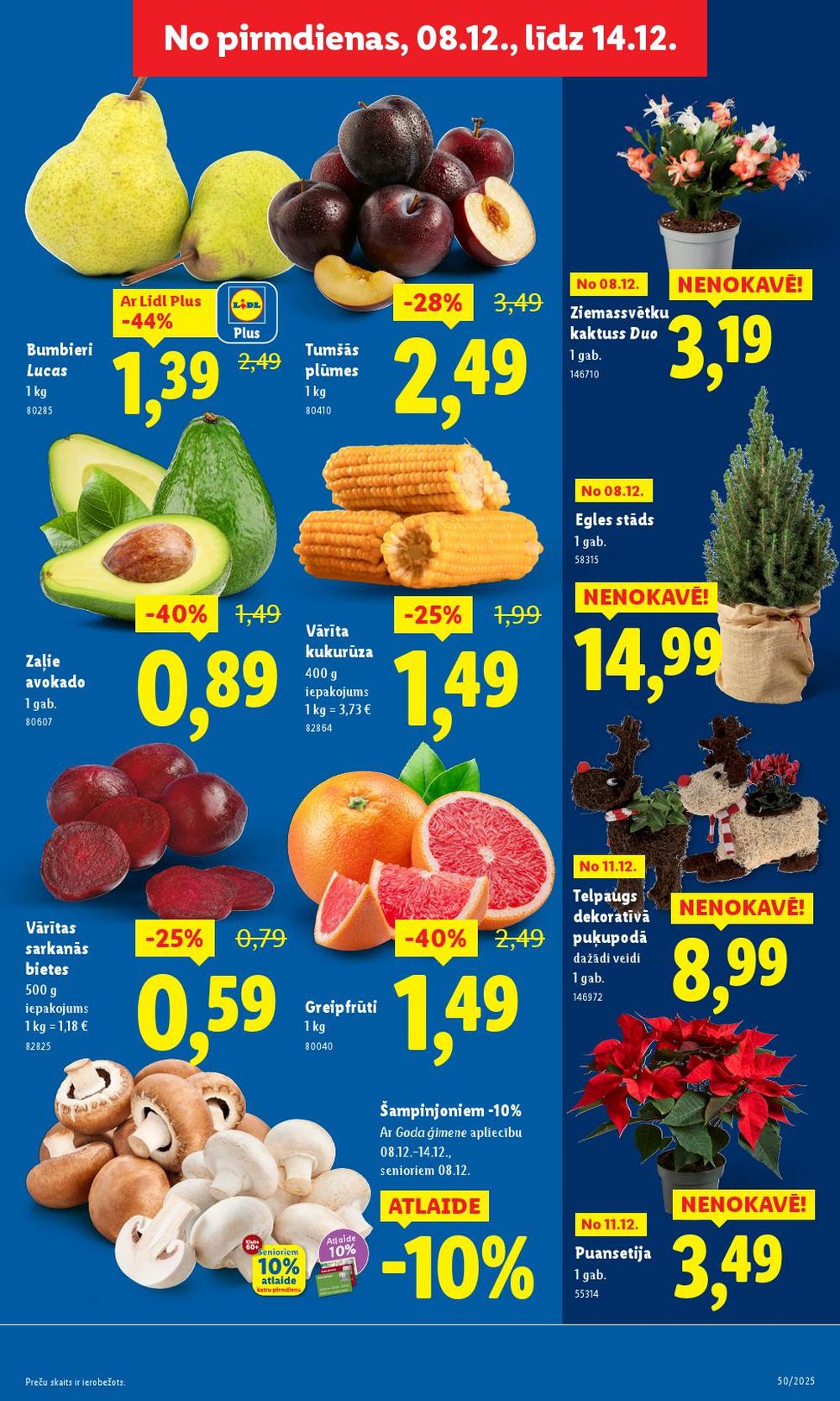 lidl - LIDL (11.12.2025 - 14.12.2025) - page: 7