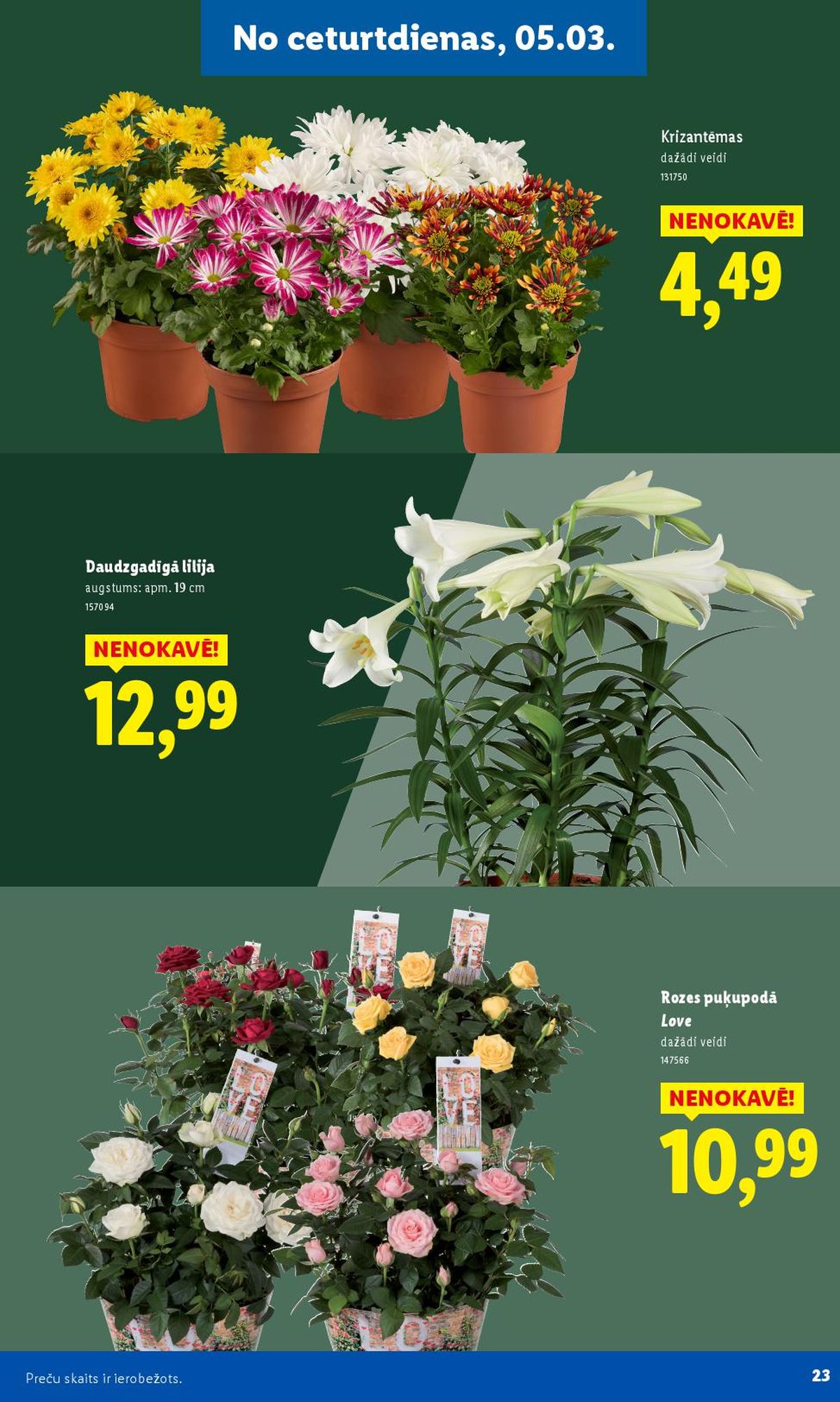 lidl - LIDL - Lai dārzs zaļo! (16.02.2026 - ) - page: 23
