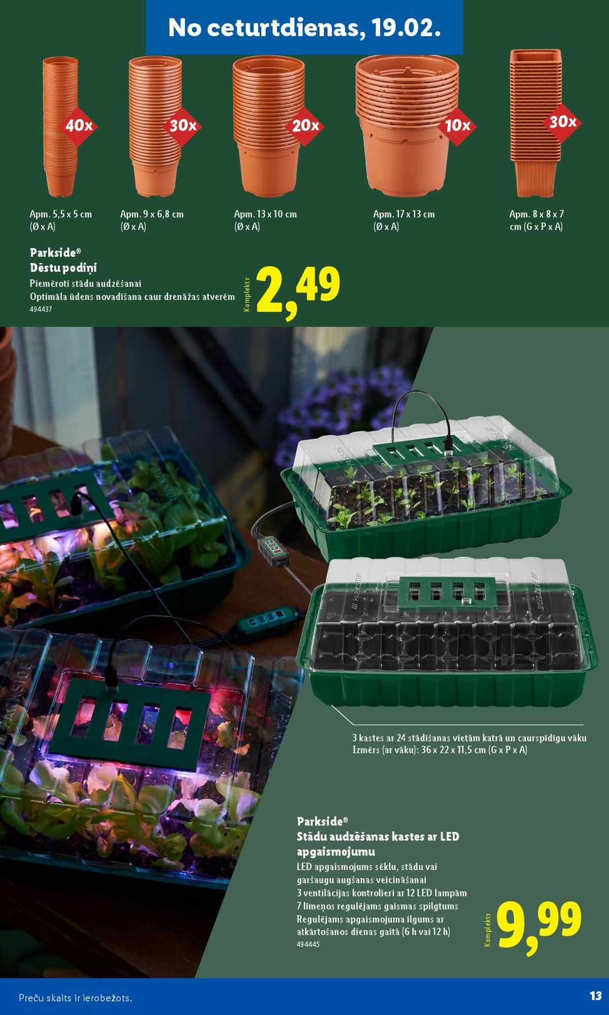 lidl - LIDL - Lai dārzs zaļo! (16.02.2026 - ) - page: 13