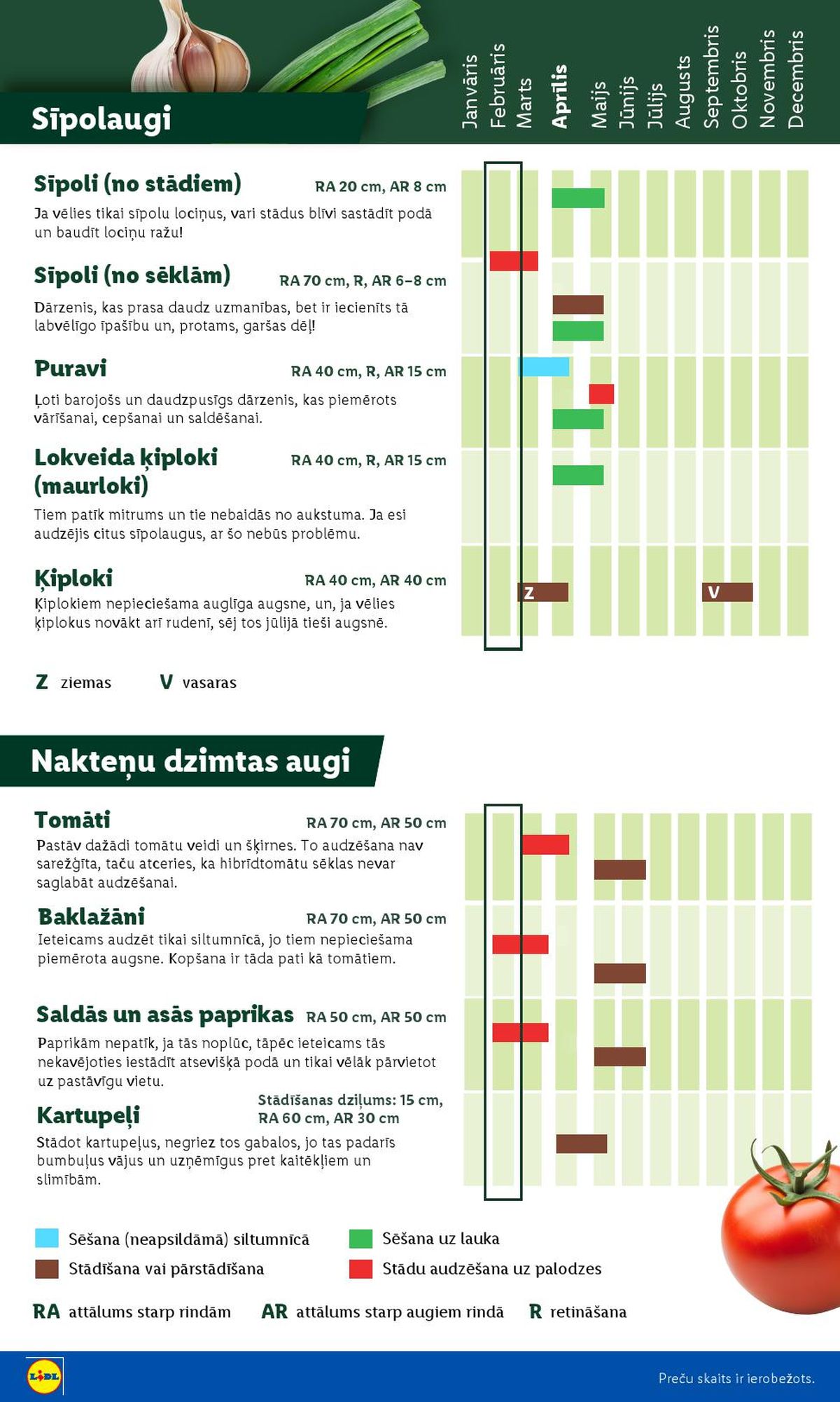 lidl - LIDL - Lai dārzs zaļo! (16.02.2026 - ) - page: 6