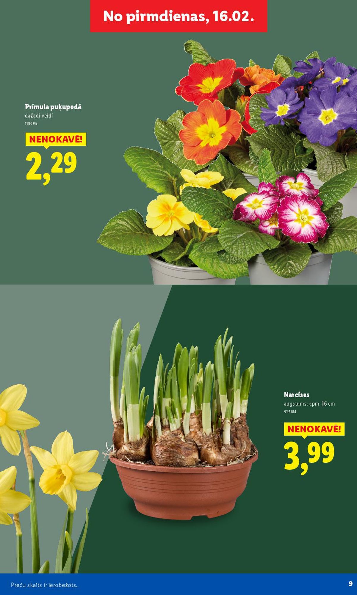 lidl - LIDL - Lai dārzs zaļo! (16.02.2026 - ) - page: 9