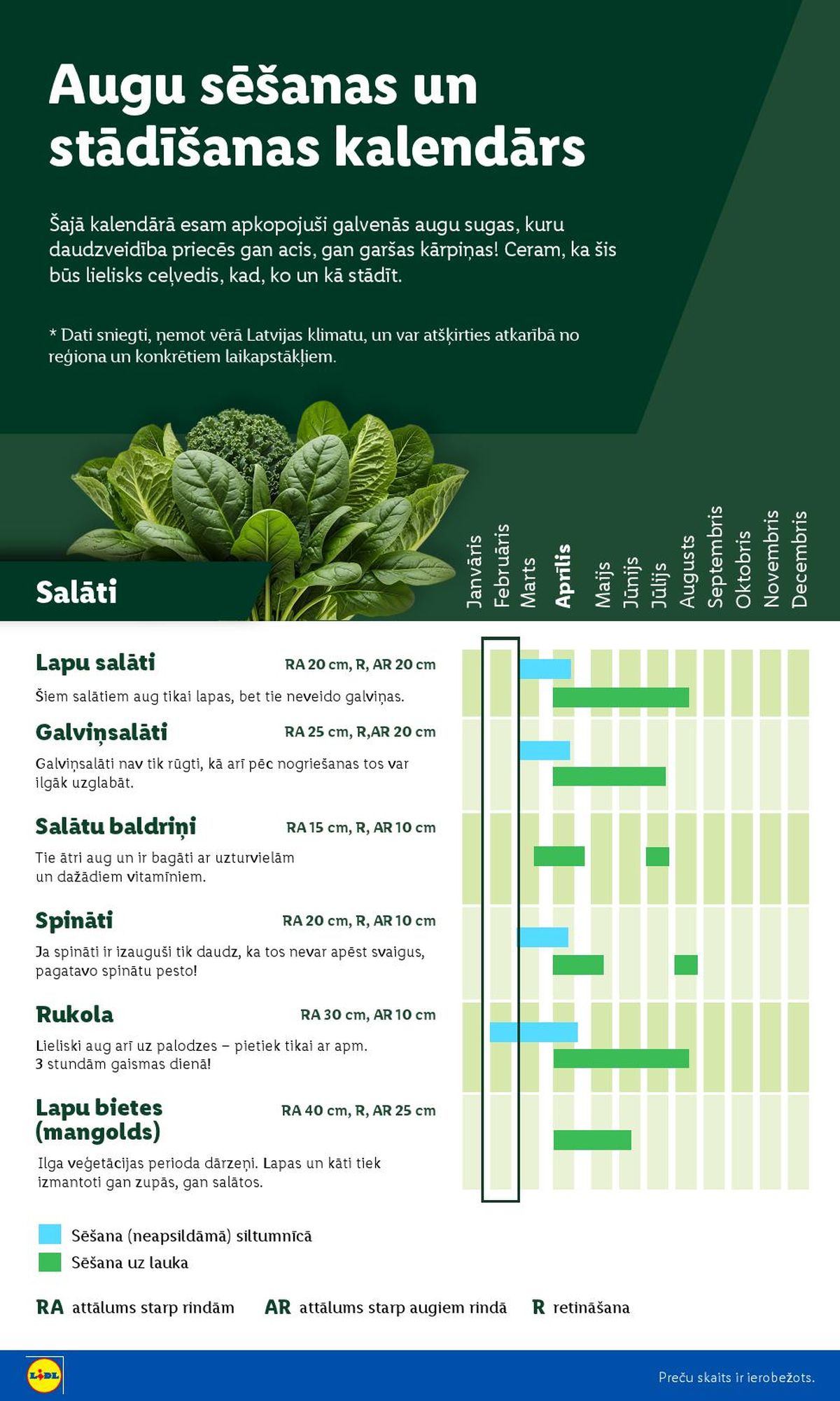 lidl - LIDL - Lai dārzs zaļo! (16.02.2026 - ) - page: 4