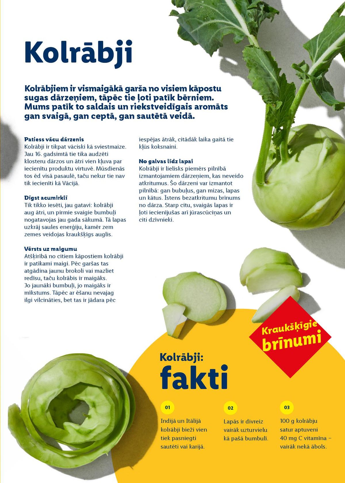 lidl - LIDL - Prieka pilnas Lieldienas (23.02.2026 - 01.03.2026) - page: 35