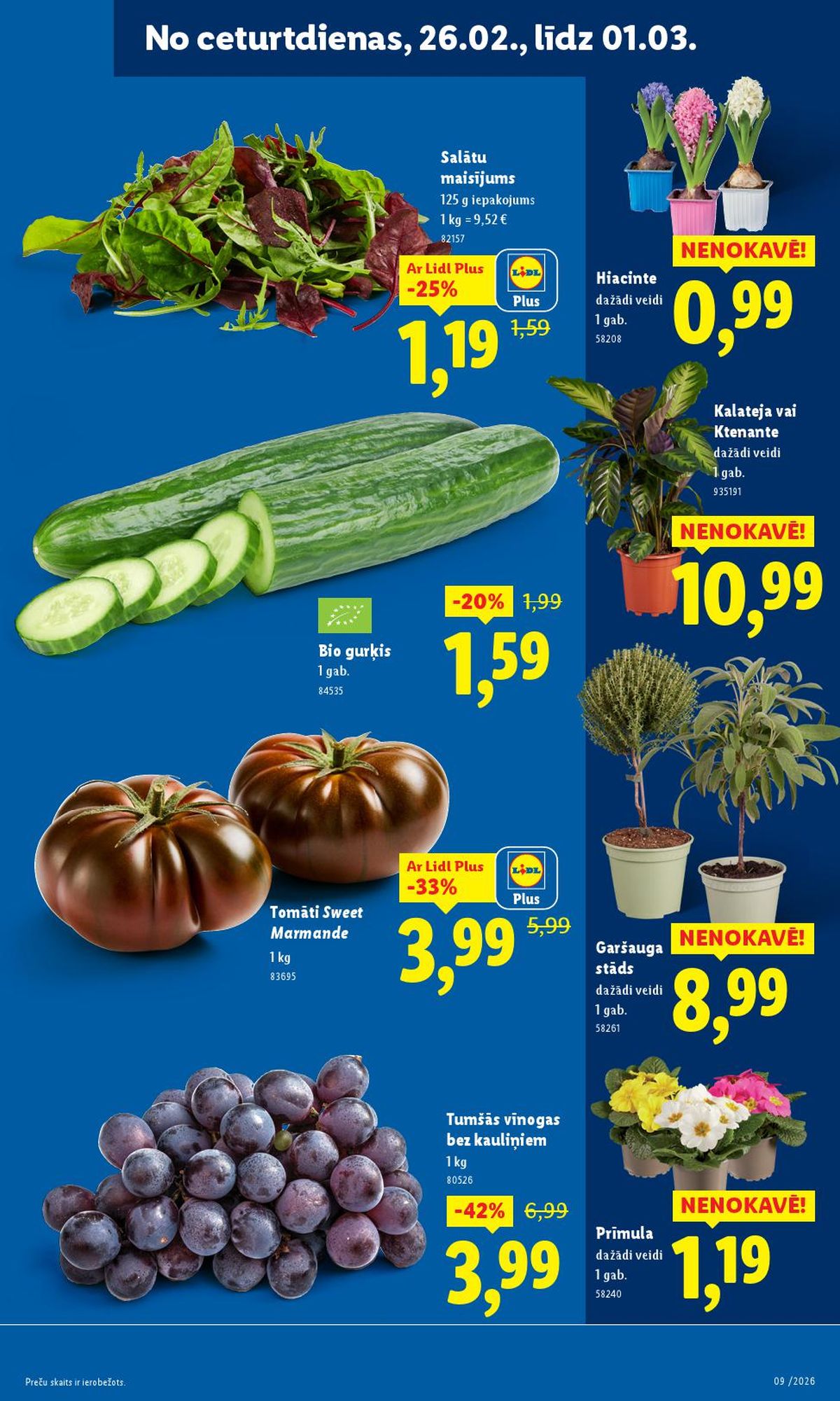lidl - LIDL (23.02.2026 - 01.03.2026) - page: 21