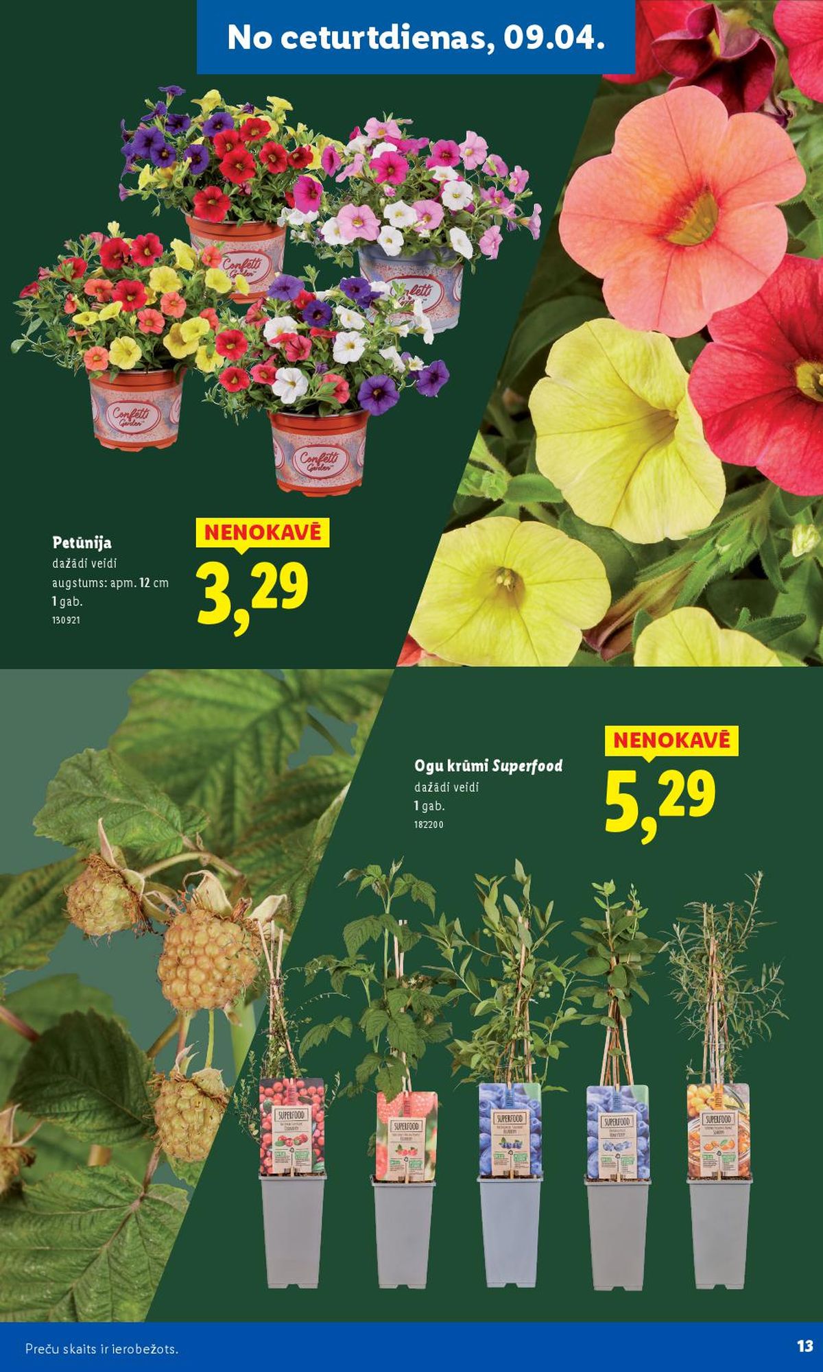 lidl - LIDL - Lai dārzs zaļo! (30.03.2026 - ) - page: 7