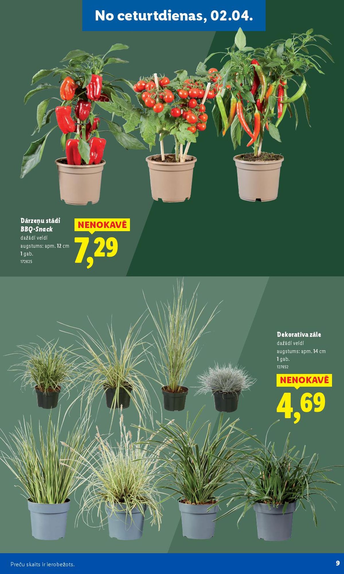 lidl - LIDL - Lai dārzs zaļo! (30.03.2026 - ) - page: 5