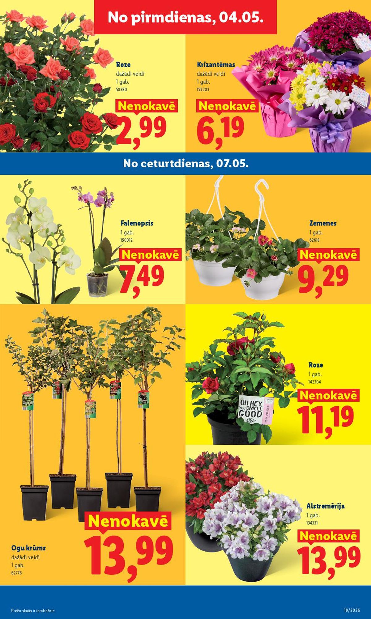 lidl - LIDL - Aktuālais akciju buklets (04.05.2026 - 10.05.2026) - page: 5